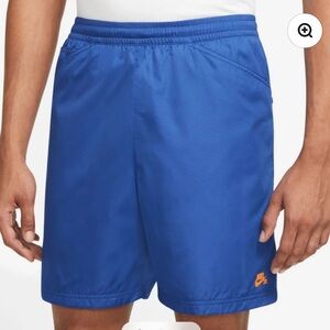 Nike SB Skate Shorts